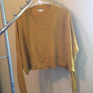 Silence and Noise Mustard Cropped Sweater